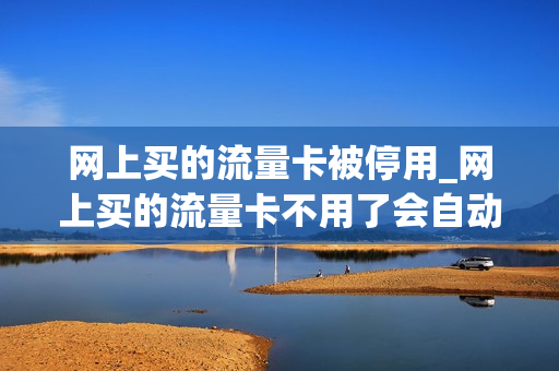 网上买的流量卡被停用_网上买的流量卡不用了会自动注销吗