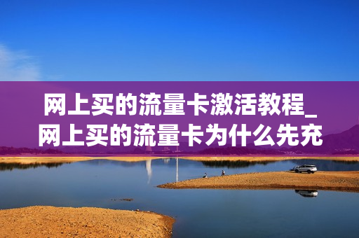 网上买的流量卡激活教程_网上买的流量卡为什么先充100元