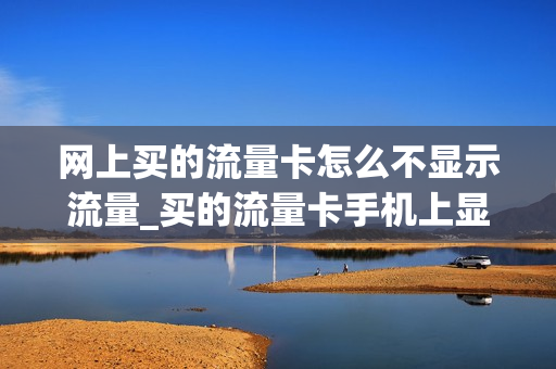 网上买的流量卡怎么不显示流量_买的流量卡手机上显示不出来