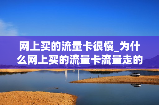网上买的流量卡很慢_为什么网上买的流量卡流量走的特别快