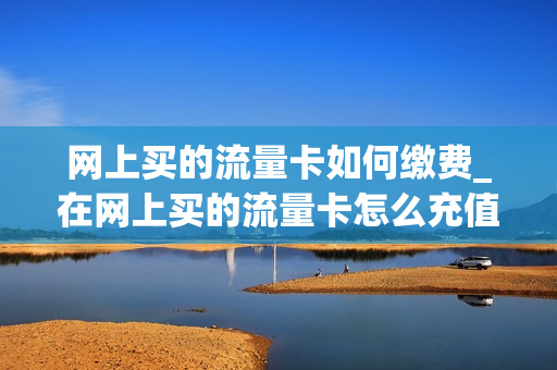 网上买的流量卡如何缴费_在网上买的流量卡怎么充值