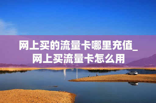 网上买的流量卡哪里充值_网上买流量卡怎么用