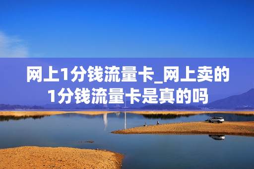 网上1分钱流量卡_网上卖的1分钱流量卡是真的吗
