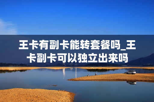 王卡有副卡能转套餐吗_王卡副卡可以独立出来吗