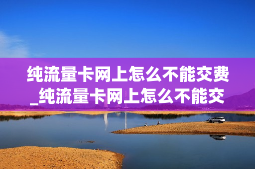 纯流量卡网上怎么不能交费_纯流量卡网上怎么不能交费用