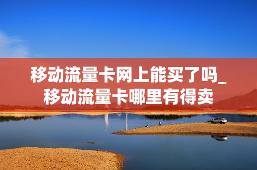 移动流量卡网上能买了吗_移动流量卡哪里有得卖