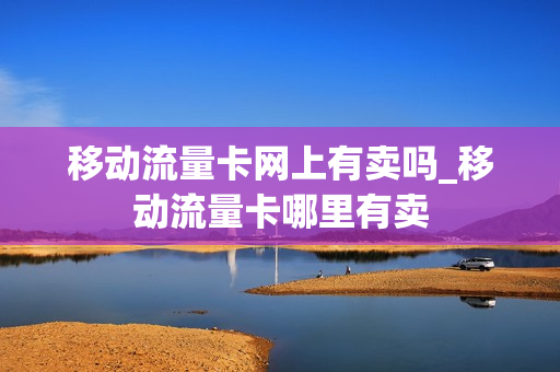 移动流量卡网上有卖吗_移动流量卡哪里有卖