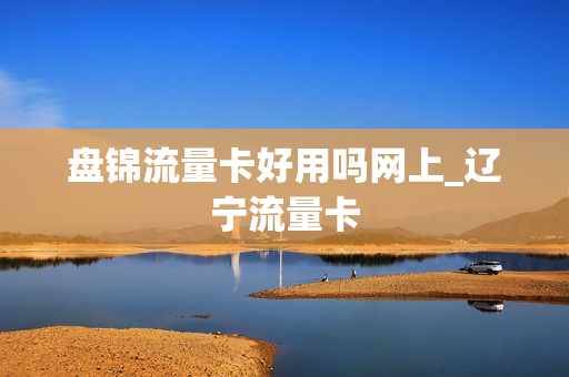 盘锦流量卡好用吗网上_辽宁流量卡