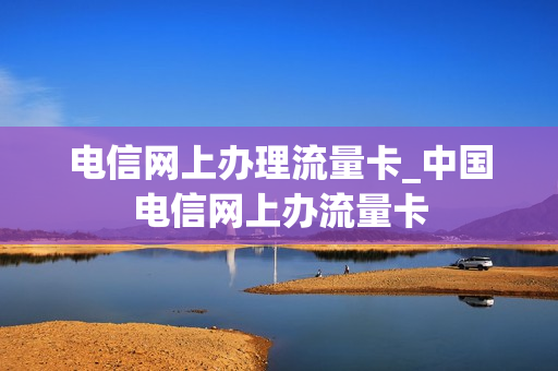 电信网上办理流量卡_中国电信网上办流量卡