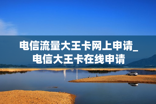 电信流量大王卡网上申请_电信大王卡在线申请