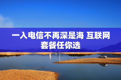 一入电信不再深是海 互联网套餐任你选
