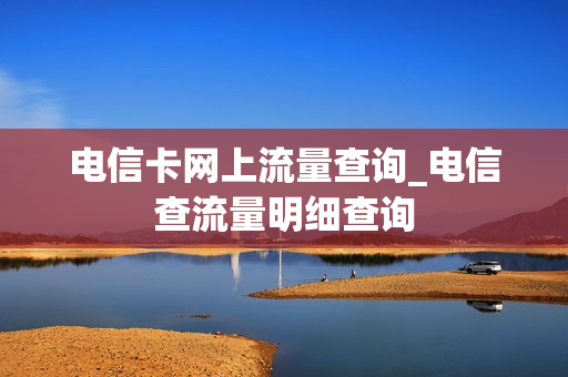 电信卡网上流量查询_电信查流量明细查询