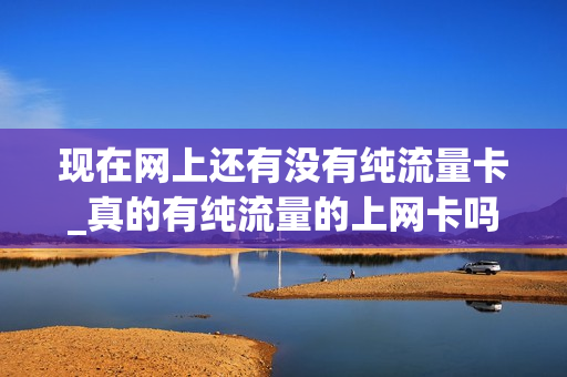 现在网上还有没有纯流量卡_真的有纯流量的上网卡吗
