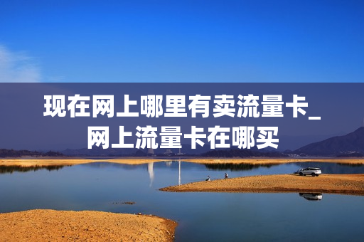 现在网上哪里有卖流量卡_网上流量卡在哪买