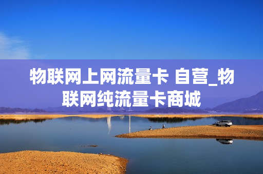 物联网上网流量卡 自营_物联网纯流量卡商城