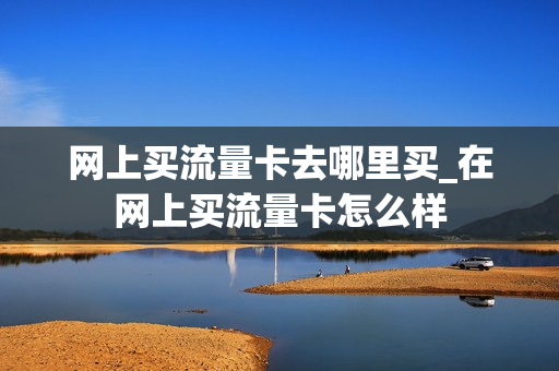 网上买流量卡去哪里买_在网上买流量卡怎么样