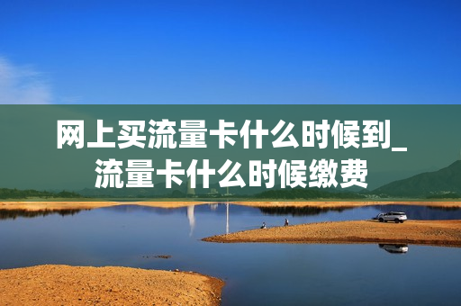 网上买流量卡什么时候到_流量卡什么时候缴费