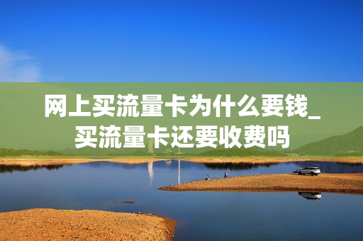 网上买流量卡为什么要钱_买流量卡还要收费吗
