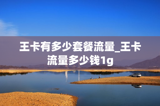 王卡有多少套餐流量_王卡流量多少钱1g