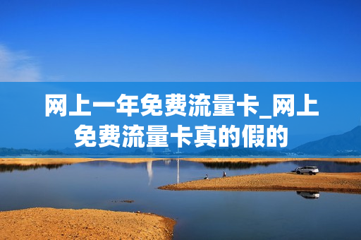 网上一年免费流量卡_网上免费流量卡真的假的