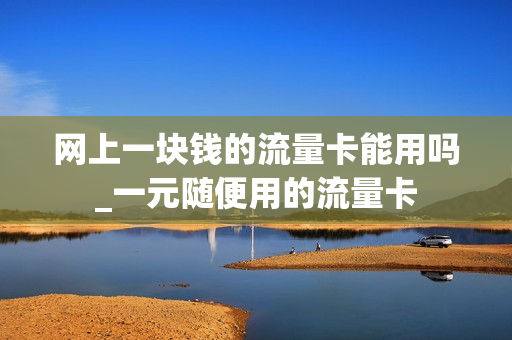 网上一块钱的流量卡能用吗_一元随便用的流量卡