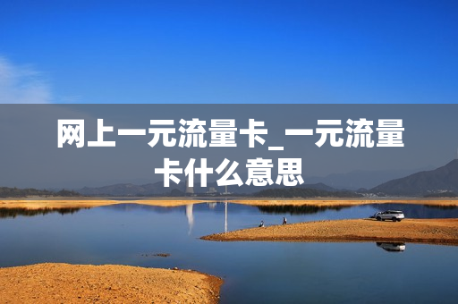 网上一元流量卡_一元流量卡什么意思
