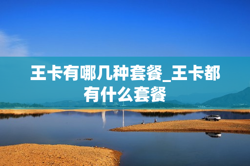王卡有哪几种套餐_王卡都有什么套餐