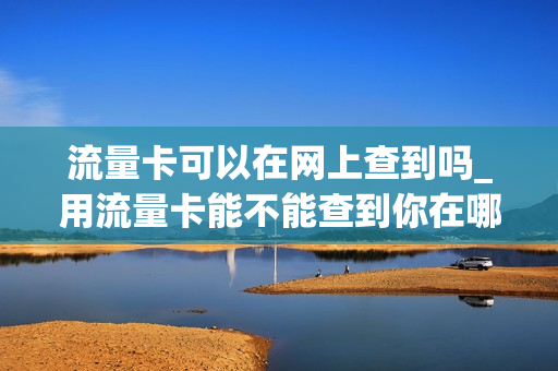 流量卡可以在网上查到吗_用流量卡能不能查到你在哪里