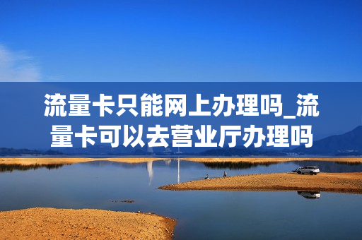 流量卡只能网上办理吗_流量卡可以去营业厅办理吗
