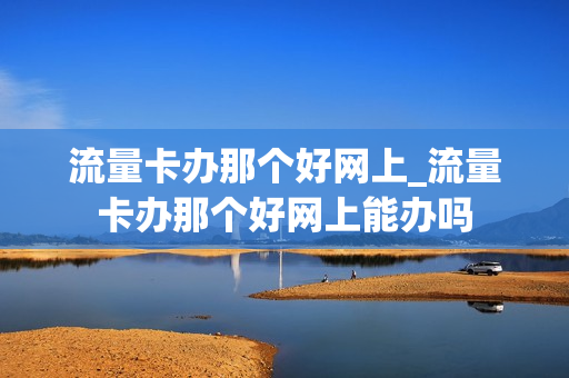流量卡办那个好网上_流量卡办那个好网上能办吗
