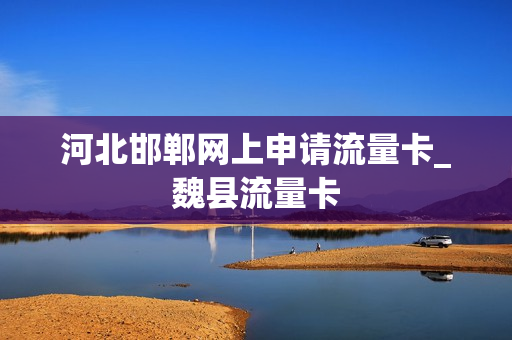 河北邯郸网上申请流量卡_魏县流量卡