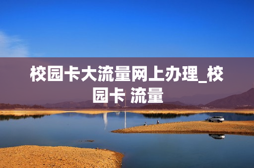 校园卡大流量网上办理_校园卡 流量