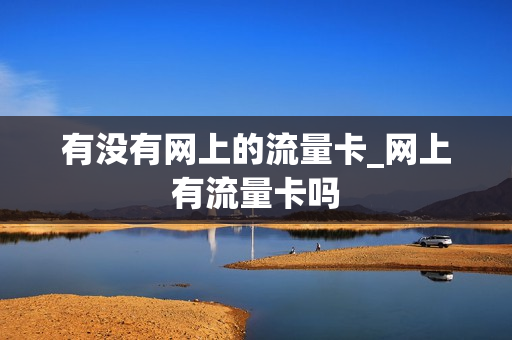 有没有网上的流量卡_网上有流量卡吗