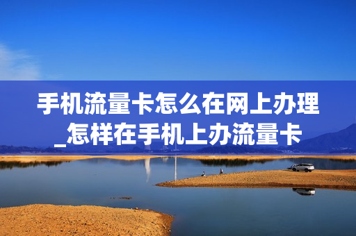 手机流量卡怎么在网上办理_怎样在手机上办流量卡