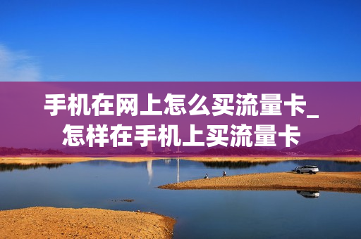 手机在网上怎么买流量卡_怎样在手机上买流量卡