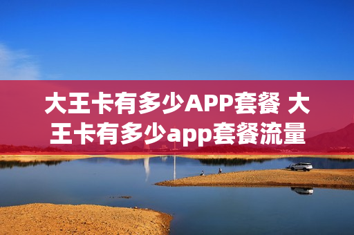 大王卡有多少APP套餐 大王卡有多少app套餐流量