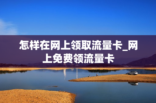 怎样在网上领取流量卡_网上免费领流量卡