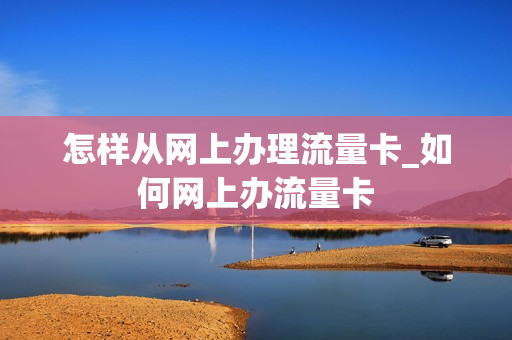 怎样从网上办理流量卡_如何网上办流量卡