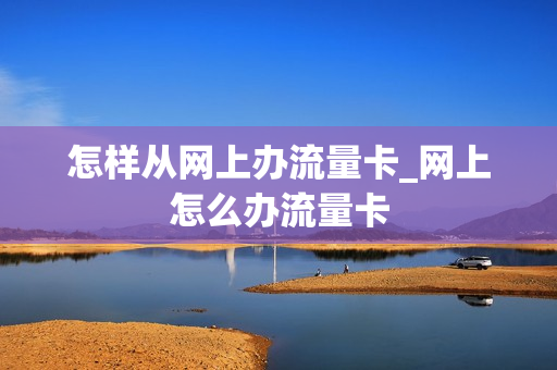 怎样从网上办流量卡_网上怎么办流量卡