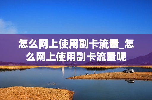 怎么网上使用副卡流量_怎么网上使用副卡流量呢