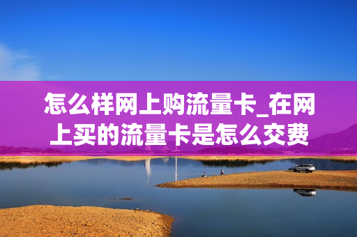 怎么样网上购流量卡_在网上买的流量卡是怎么交费