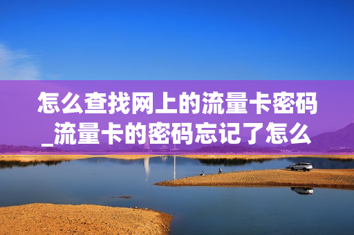 怎么查找网上的流量卡密码_流量卡的密码忘记了怎么找到