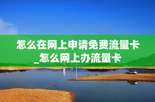 怎么在网上申请免费流量卡_怎么网上办流量卡