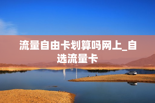 流量自由卡划算吗网上_自选流量卡