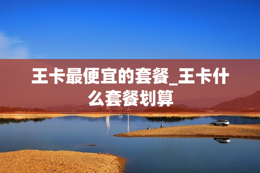 王卡最便宜的套餐_王卡什么套餐划算