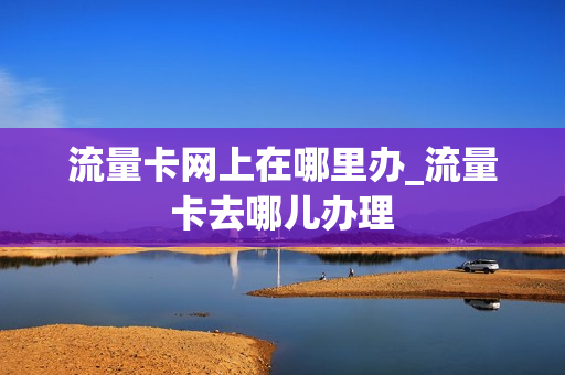 流量卡网上在哪里办_流量卡去哪儿办理