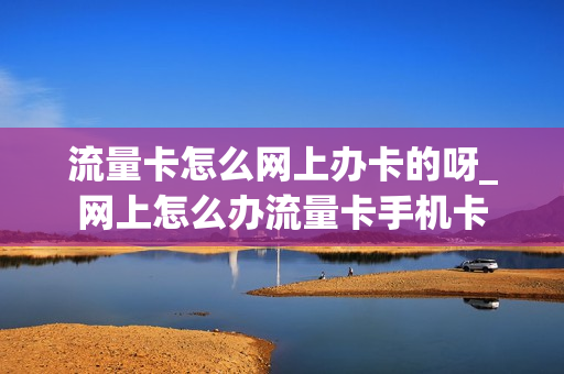 流量卡怎么网上办卡的呀_网上怎么办流量卡手机卡
