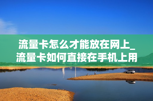 流量卡怎么才能放在网上_流量卡如何直接在手机上用