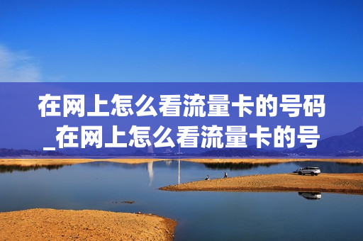 在网上怎么看流量卡的号码_在网上怎么看流量卡的号码查询