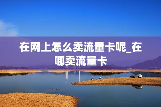 在网上怎么卖流量卡呢_在哪卖流量卡